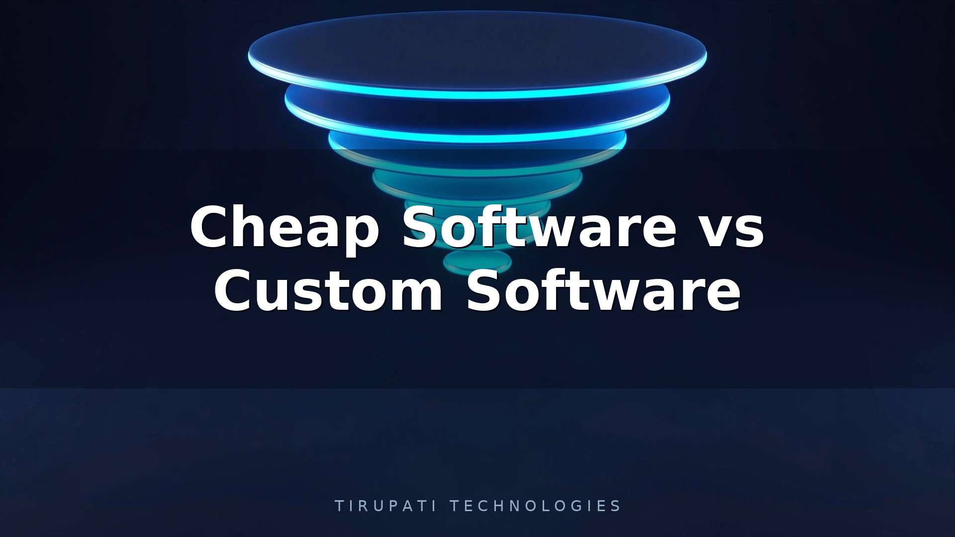Cheap Software vs Custom Software