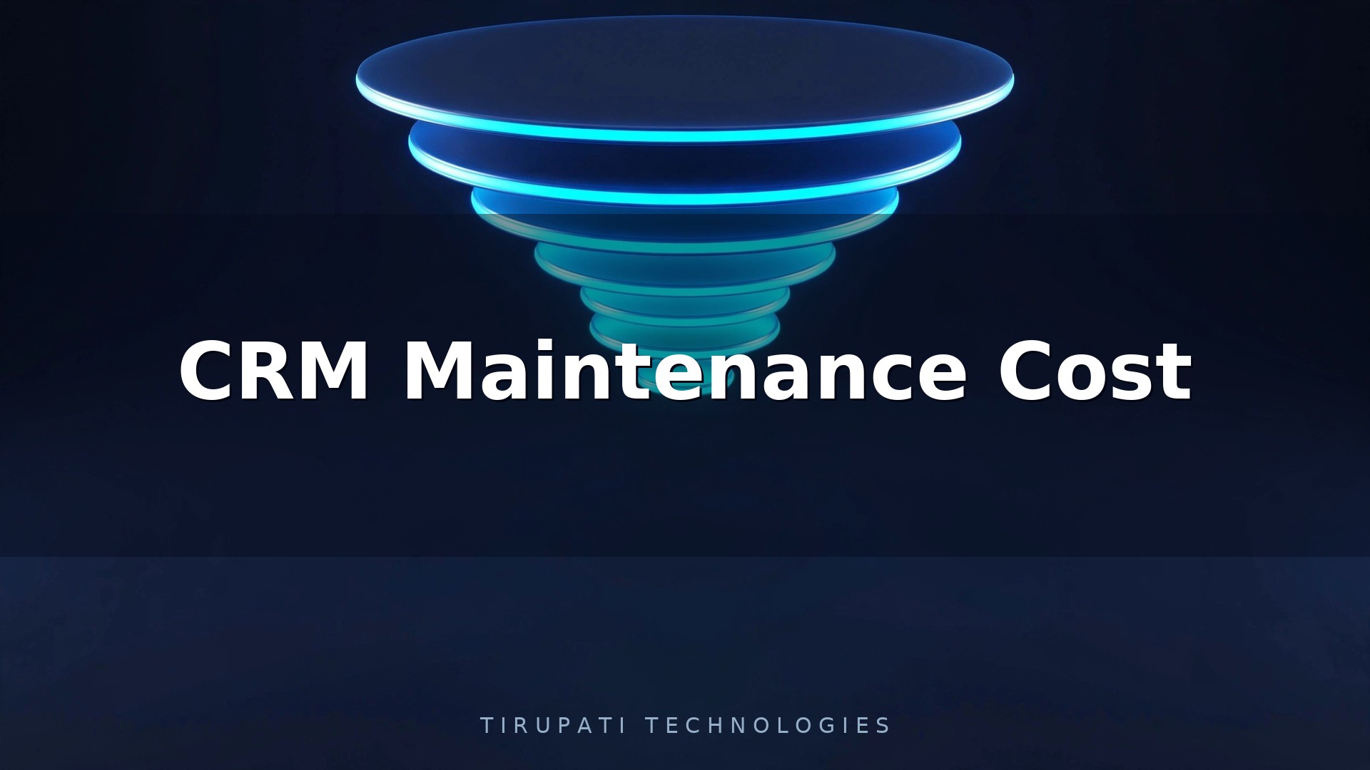 CRM Maintenance Cost