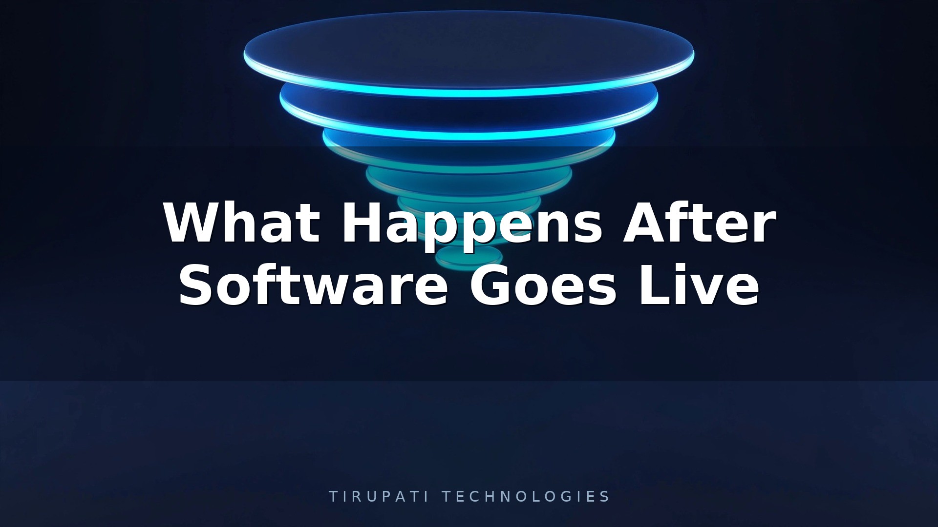 What Happens After Software Goes Live?